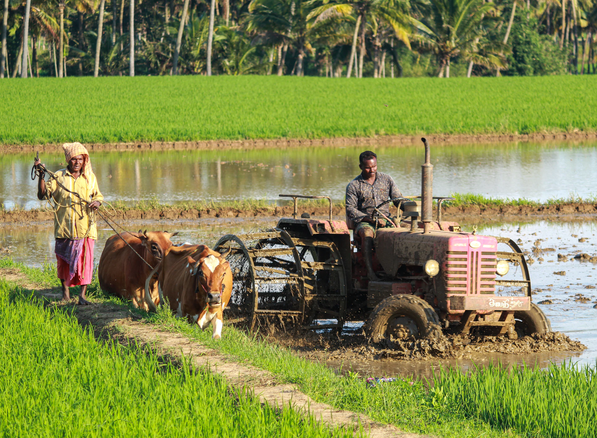 Dublin AgriTech SEO services - expert search engine optimization by Adfix Agency adfixagency.com