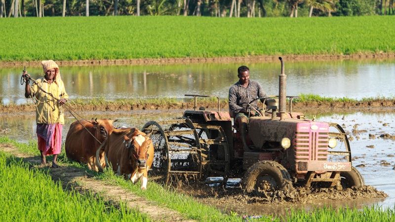 Organic Farming SEO services in Bagerhat - professional organic farming digital marketing by Adfix Agency