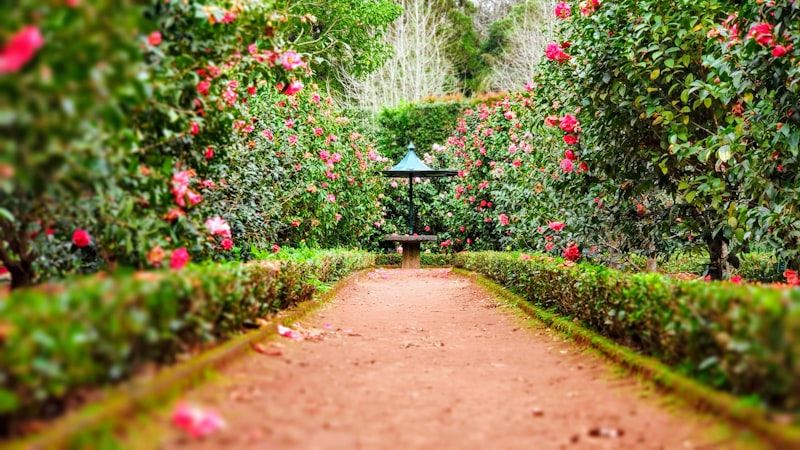 Landscape Design SEO services in Khulna - professional landscape design digital marketing by Adfix Agency Landscape Design SEO services in Khulna - professional landscape design digital marketing by Adfix Agency